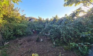 Propiedad Agrícola Con Casa Y Huerto En Producción