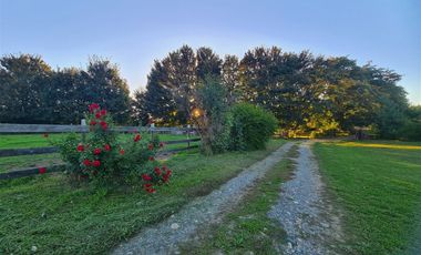 Propiedad Agrícola Con Casa Y Huerto En Producción
