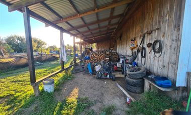 Propiedad Agrícola Con Casa Y Huerto En Producción