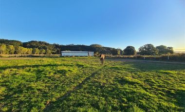 Propiedad Agrícola Con Casa Y Huerto En Producción