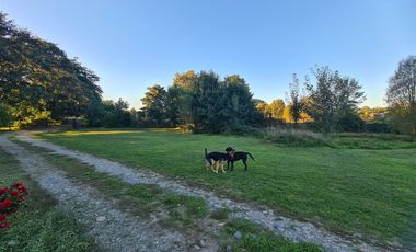 Propiedad Agrícola Con Casa Y Huerto En Producción