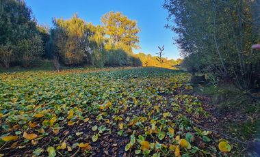 Propiedad Agrícola Con Casa Y Huerto En Producción