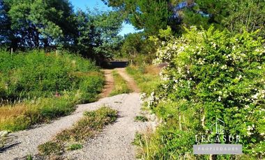 Parcela 5.000 M Con Casa Lista Para Habitar, 95mm