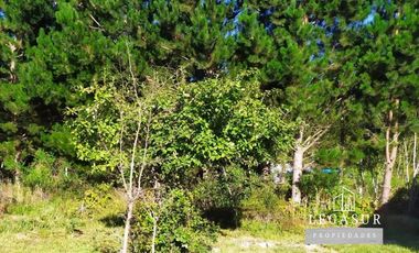 Parcela 5.000 M Con Casa Lista Para Habitar, 95mm