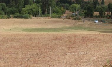Venta Sitio 3 Ha Rio Cholchol Temuco