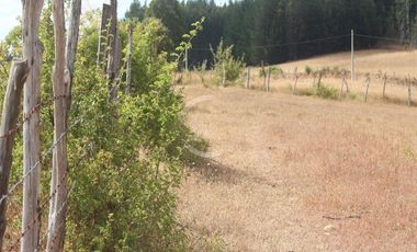Venta Sitio 3 Ha Rio Cholchol Temuco