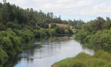 Venta Sitio 3 Ha Rio Cholchol Temuco
