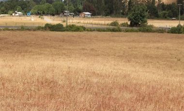 Venta Sitio 3 Ha Rio Cholchol Temuco