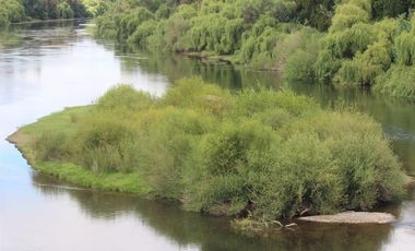 Venta Sitio 3 Ha Rio Cholchol Temuco