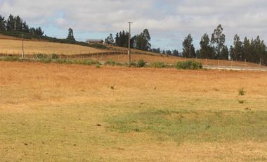 Venta Sitio 3 Ha Rio Cholchol Temuco