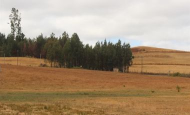 Venta Sitio 3 Ha Rio Cholchol Temuco