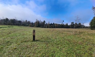 Parcelas 5.000 M En El Roble, Los Lagos Excelente Acceso