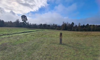 Parcelas 5.000 M En El Roble, Los Lagos Excelente Acceso