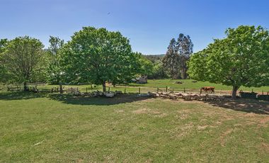 Parcelas 5.000 M En El Roble, Los Lagos Excelente Acceso