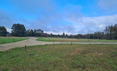 Parcelas 5.000 M En El Roble, Los Lagos Excelente Acceso