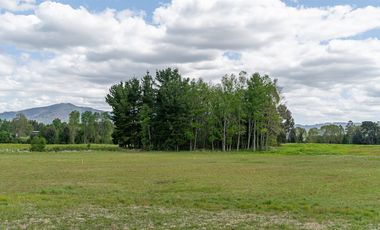 Parcelas 5.000 M En El Roble, Los Lagos Excelente Acceso