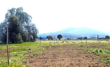 Agrícola En Venta En Casablanca