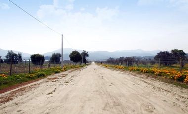 Agrícola En Venta En Casablanca