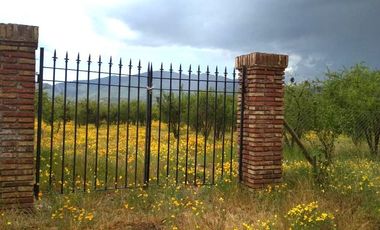 Agrícola En Venta En Casablanca