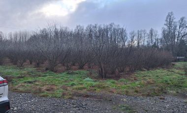 Parcela En Venta En Villarrica, Oportunidad Precio Rebajado