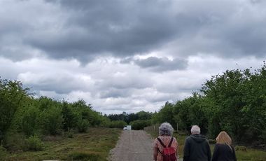 Parcela En Venta En Villarrica, Oportunidad Precio Rebajado