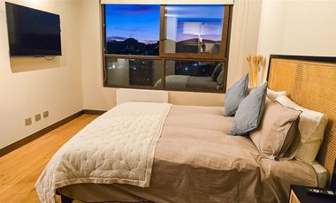 Top Lujoso Amoblado Y Equipado 1 Dorm. 2 Pisos Rooftop 140m2