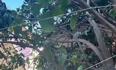 Amplia Casa De 4 Dorm En Calle Newman Valparaíso