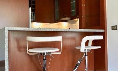 Departamento Amoblado En Arriendo De 1 Dorm. En Las Condes