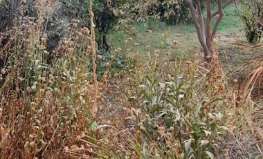 Casa En Venta De 2 Dorm. En Rancagua