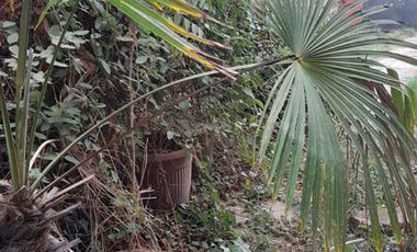 Casa En Venta De 2 Dorm. En Rancagua