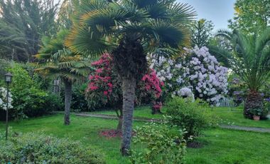 Casa En Venta De 3 Dorm. 2 Baños En Linares