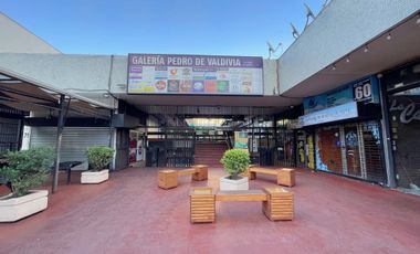 LOCAL COMERCIAL PROVIDENCIA / 4 BOX