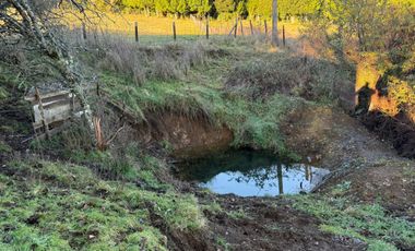 VENDO CAMPO EN LOS MUERMOS REGION DE LOS LAGOS