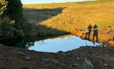 VENDO CAMPO EN LOS MUERMOS REGION DE LOS LAGOS
