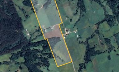 VENDO CAMPO EN LOS MUERMOS REGION DE LOS LAGOS