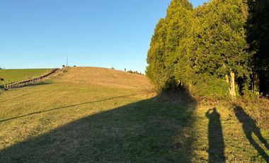VENDO CAMPO EN LOS MUERMOS REGION DE LOS LAGOS