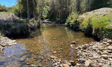VENDO CAMPO EN LOS MUERMOS REGION DE LOS LAGOS