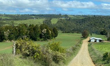 VENDO CAMPO EN LOS MUERMOS REGION DE LOS LAGOS