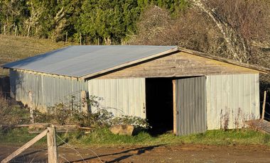 VENDO CAMPO EN LOS MUERMOS REGION DE LOS LAGOS