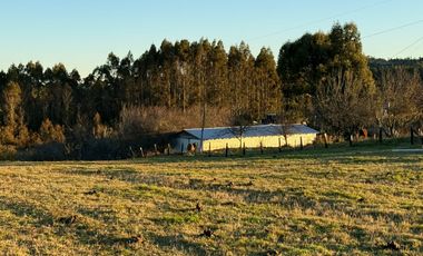 VENDO CAMPO EN LOS MUERMOS REGION DE LOS LAGOS