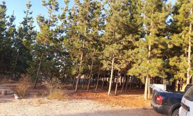 Parcela en Venta en -34.480----,-71.953----,622