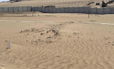 OCASION NEGOCIABLE TERRENO Panamericana Norte a 20 minutos del Mega puerto de Chancay