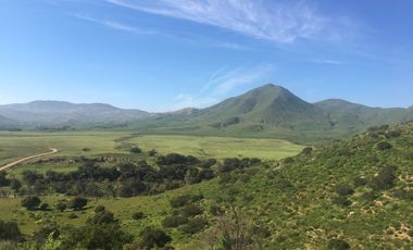 Terreno en Venta en San José de la Zorra - (3)