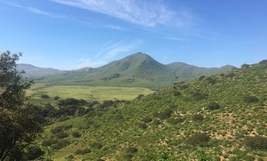 Terreno en Venta en San José de la Zorra - (3)