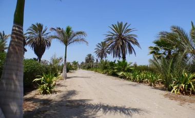 VENTA TERRENO EN ACCA PARACAS – PISCO – HERMOSO CONDOMINIO