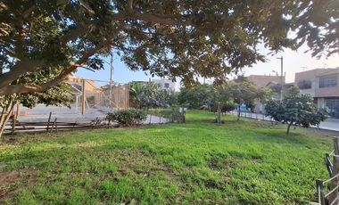 En alquiler amplio departamento frente a parque, por la Av. Sol de Naranjal, San Martín de Porres