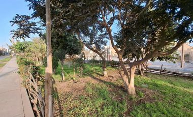 En alquiler amplio departamento frente a parque, por la Av. Sol de Naranjal, San Martín de Porres