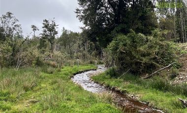 Agrícola en Venta en Estaquilla Alto