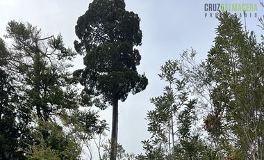 Agrícola en Venta en Estaquilla Alto