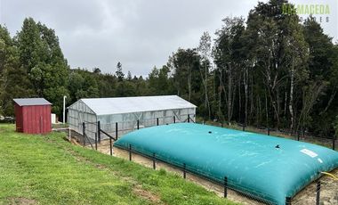 Agrícola en Venta en Estaquilla Alto